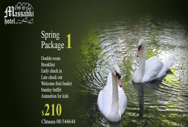 Spring Package 1